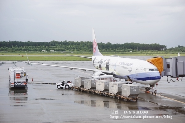 熊本熊彩繪機_1.JPG 熊本熊彩繪機_1.JPG