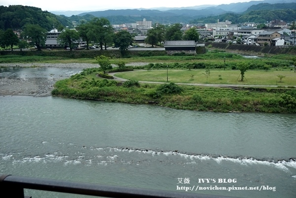 清流山水花_33.JPG