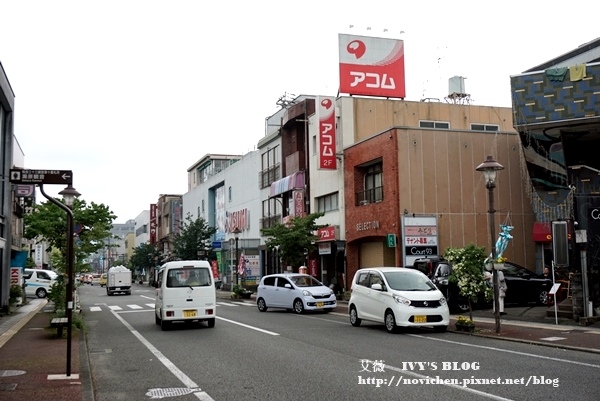 清流山水花_79.JPG