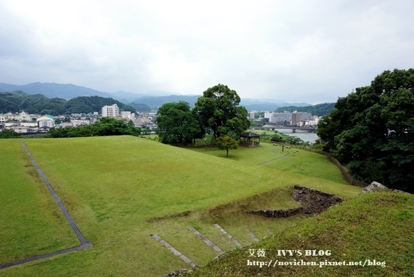 清流山水花_82.JPG