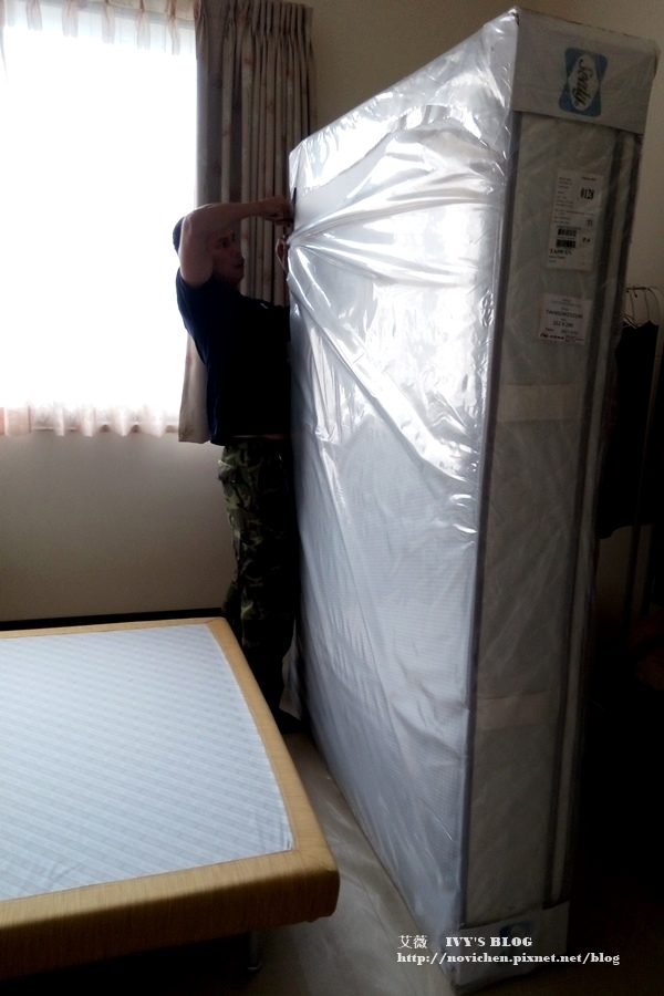 Sealy_3.jpg Sealy_3.jpg