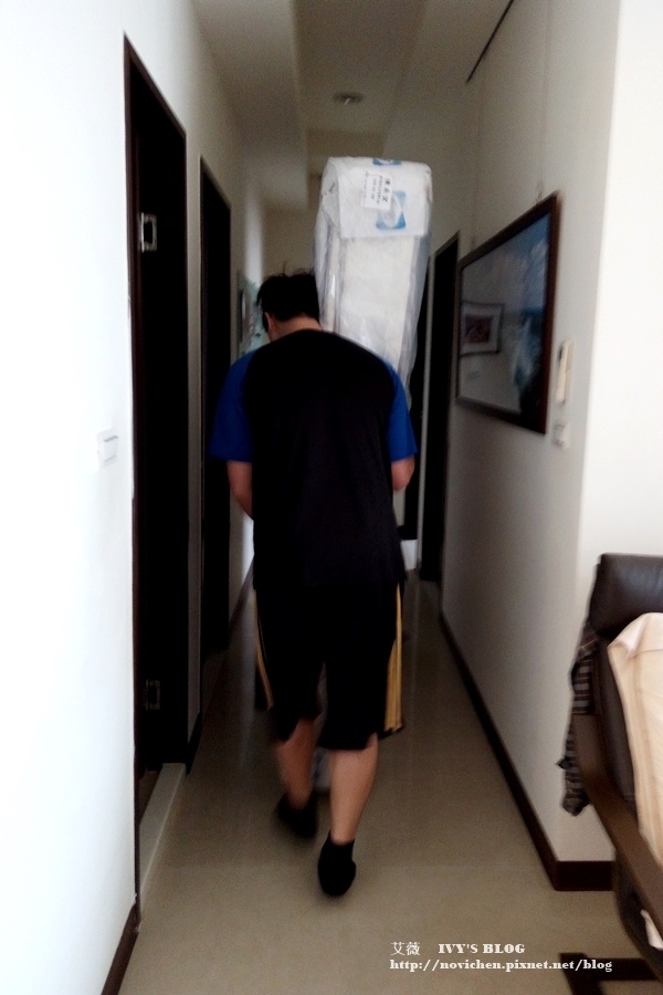 Sealy_2.jpg Sealy_2.jpg