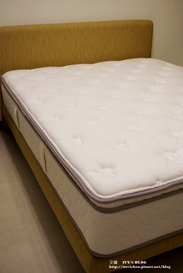 Sealy_4.JPG Sealy_4.JPG