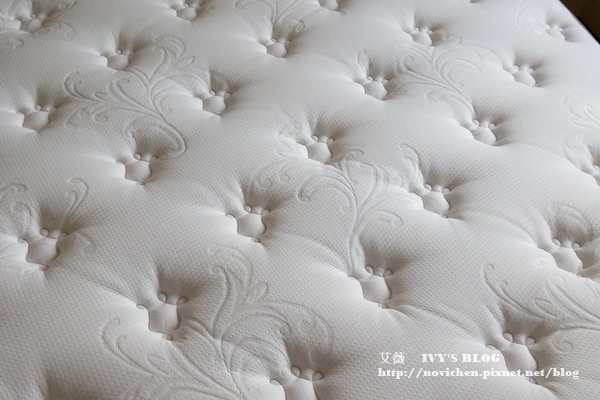 Sealy_8.jpg Sealy_8.jpg