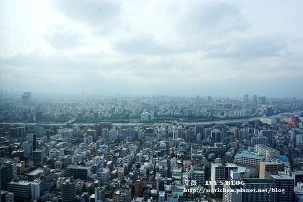 晴空塔_7.JPG