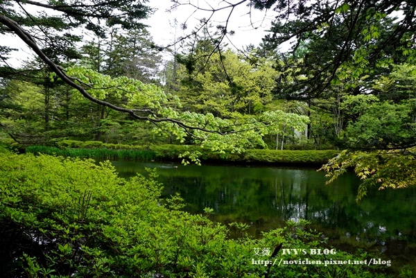 雲場池_14.JPG