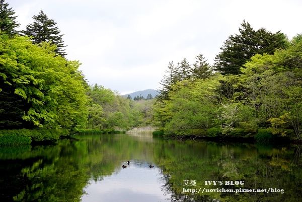 雲場池_15.JPG