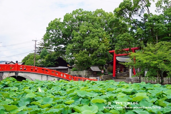 青井阿蘇神社_5.JPG