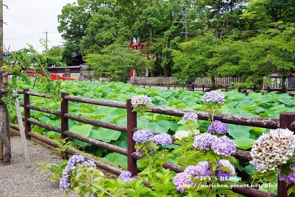 青井阿蘇神社_7.JPG