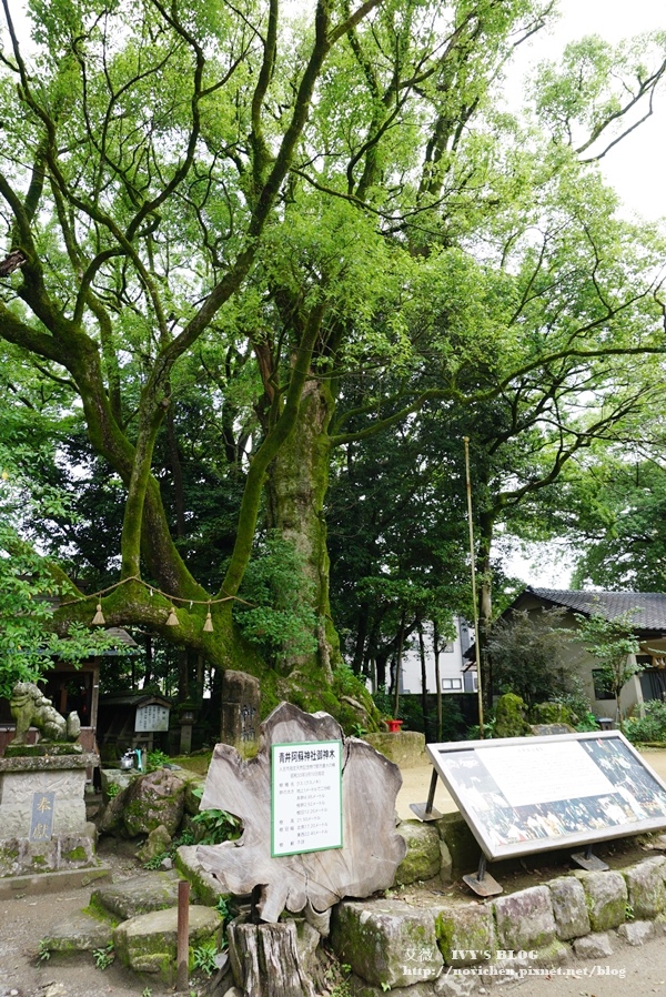 青井阿蘇神社_32.JPG