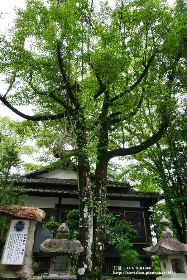青井阿蘇神社_34.JPG 青井阿蘇神社_34.JPG