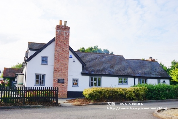 Bumble Bee_1.JPG Bumble Bee_1.JPG