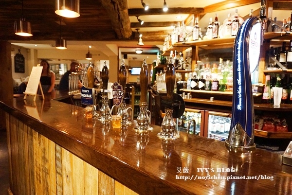 Bumble Bee_6.JPG Bumble Bee_6.JPG