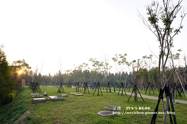 南方莊園_36.JPG 南方莊園_36.JPG