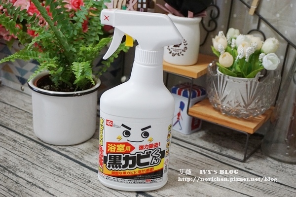 日本LEC_9.JPG 日本LEC_9.JPG