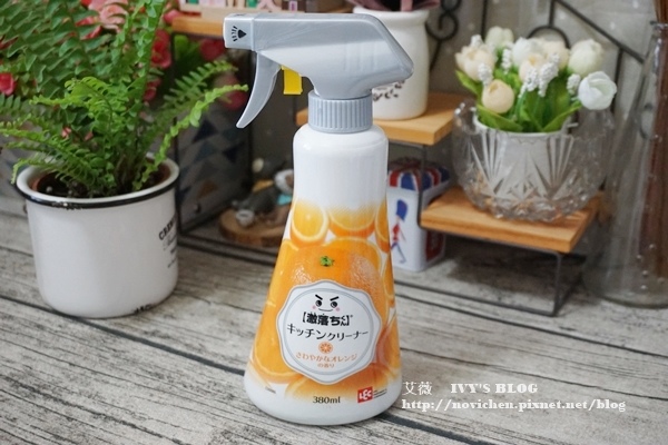 日本LEC_38.JPG 日本LEC_38.JPG