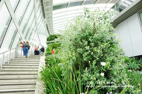 Sky Garden_16.JPG Sky Garden_16.JPG