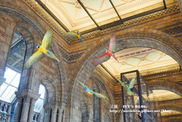 自然史博物館_8.JPG 自然史博物館_8.JPG