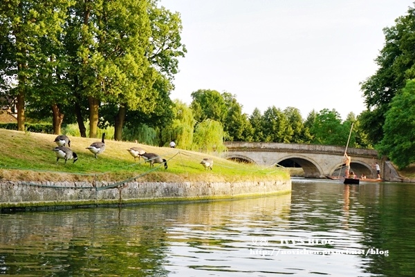 劍橋_55.JPG 劍橋_55.JPG