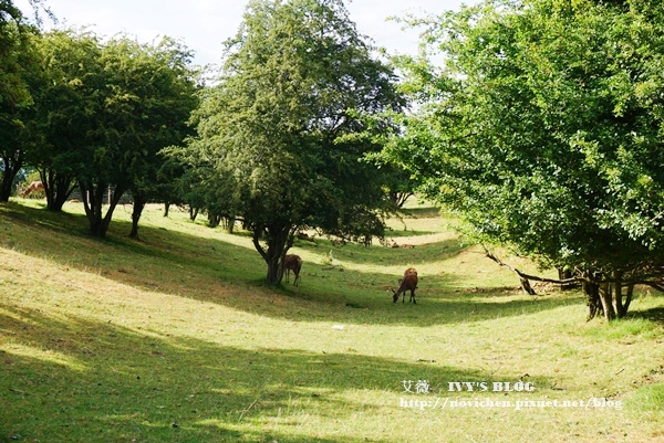 Broadway Tower_16.JPG