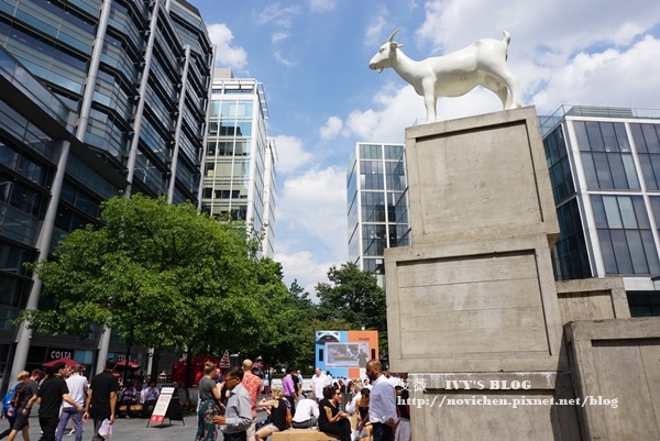SpitalField_3.JPG