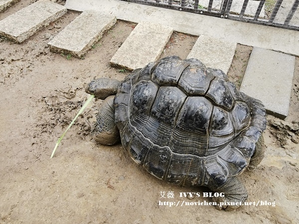 廢物媽媽_25.jpg