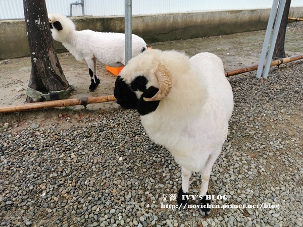 廢物媽媽_33.jpg 廢物媽媽_33.jpg