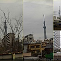 37亂拍skytree.jpg