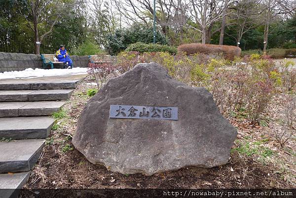 04大倉山公園賞梅花.JPG