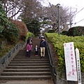 05大倉山公園賞梅花.JPG