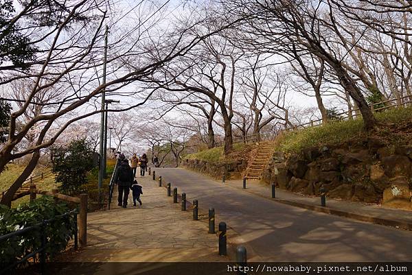 07大倉山公園賞梅花.JPG