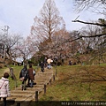 28大倉山公園賞梅花.JPG