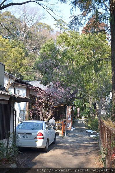 50深大寺表參道商店街.JPG