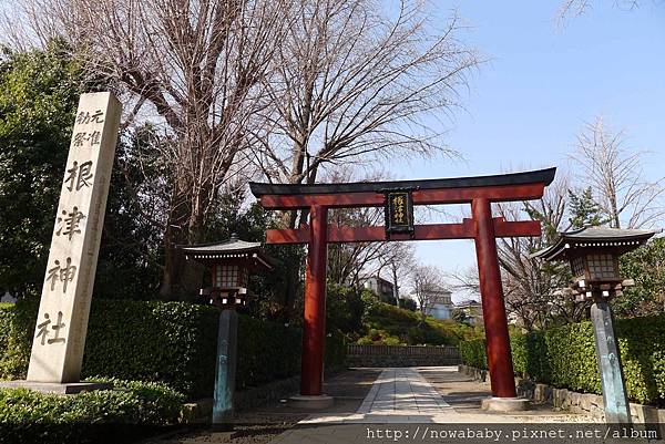 08根津神社.JPG