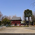 10根津神社.JPG