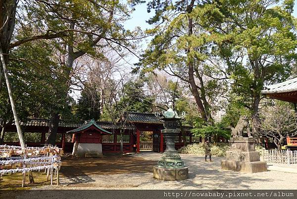 18根津神社.JPG