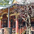 21根津神社.JPG