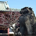 22根津神社.JPG