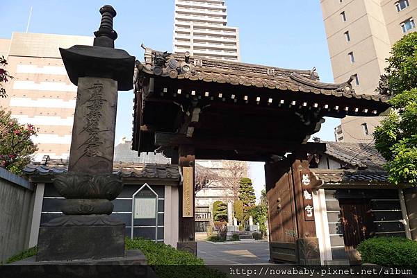 05羽二重團子對面的善性寺.JPG