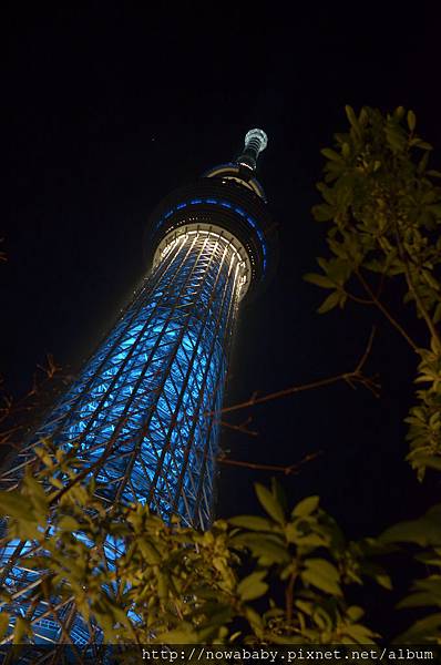 30拍skytree.JPG