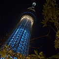 30拍skytree.JPG