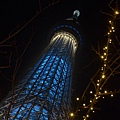 31拍skytree.JPG