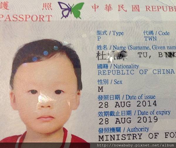 11momo passport picture.JPG