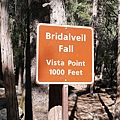 53bridalveil fall.JPG