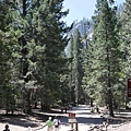 41mirror lake trailhead.JPG