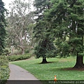 30Golden Gate Park.JPG