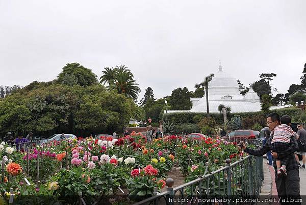 36Golden Gate Park.JPG