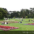 48Golden Gate Park.JPG