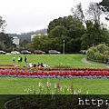 49Golden Gate Park.JPG