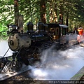 06steam train.JPG